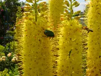 garten4 002.webp
