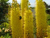 garten4 003.webp