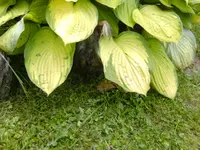 garten4 034.webp