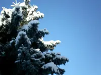 SANY0065.webp