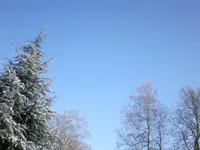 SANY0066.webp