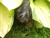 garten4 036.webp