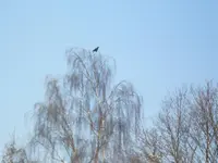 SANY0068.webp