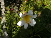 021.webp