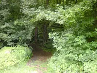 028.webp