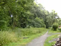 027.webp