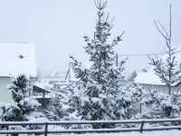 006.webp