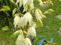 030.webp