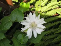 022.webp