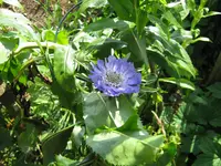 025.webp