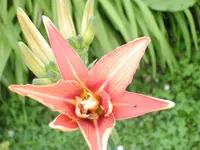 011.webp