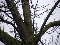 PDVD_008.webp