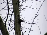 PDVD_014.webp