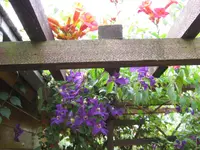 002.webp