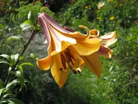 022.webp