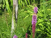 027.webp