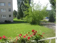 004.webp
