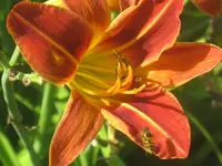 011.webp