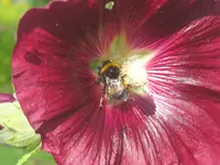 022.webp