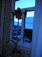 05_01_10 001.webp