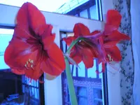 05_01_10 002.webp