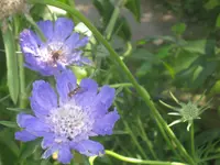 026.webp