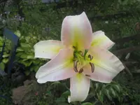 001.webp