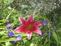 008.webp