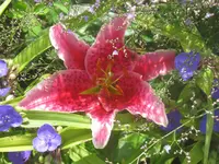 009.webp