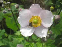 011.webp
