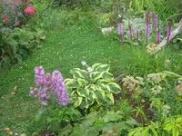 013.webp