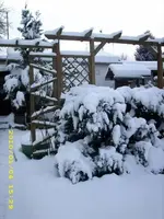 JD500326.webp