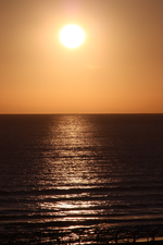 IMG_4635(1).webp