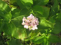 012.webp