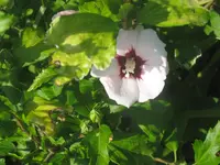 022.webp