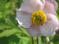 035.webp