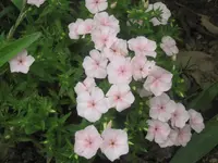 012.webp