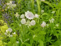 BILD0148.webp