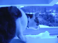 schnee 004.webp