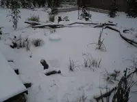 6.1.2010 007.webp