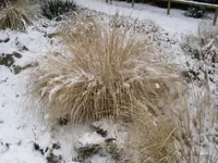 6.1.2010 021.webp