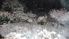 K640_winter 2010 033.webp