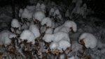 K640_winter 2010 044.JPG