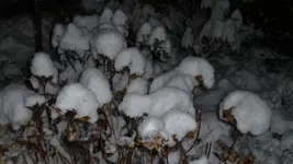 K640_winter 2010 044.webp