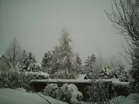 PIC00104.webp
