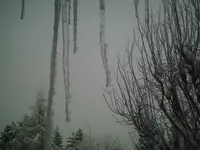 PIC00105.webp