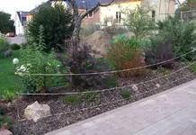 Wall 09-2009.webp