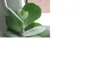 IMG_2348.webp