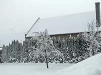 Bild 035.webp