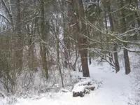 002.webp